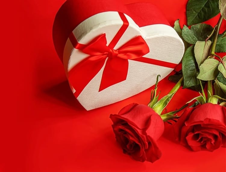 Gift Idea : Best Gift for Valentines Day, Unique Gadgets for Gift Gift Idea : વેલેંટાઈન્સ ડે પર આપવી છે શાનદાર ગિફ્ટ, આ રહ્યાં બેસ્ટ ઓપ્શન