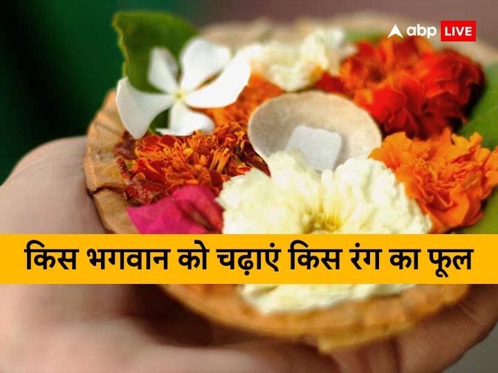 Which color flower should be offered to which god, which color is dear, know today