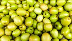 Winter Fruit: શિયાળામાં બોર ખાવાનું ન ચૂકતા, શરીરને આ કારણે છે ઉપયોગી, તેના ફાયદા જાણી આપ દંગ રહી જશો