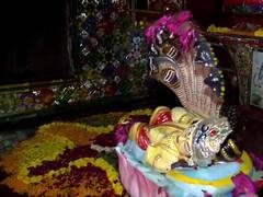IN PICS: PM Modi Offers Prayers At Rajasthan's Malaseri Dungri Temple On Lord Devnarayan's Birth Anniversary
