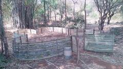 In Pics: उदयपुर में उड़ेंगी रंग-बिरंगी तितलियां, राजस्थान का पहला Butter Fly पार्क तैयार, जानिए क्या है खास