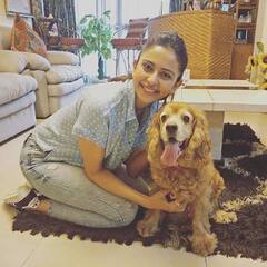 Rakul Preet Singh House: सपनों के महल से भी खूबसूरत है रकुल प्रीत सिंह का आशियाना, देखिए Inside तस्वीरें