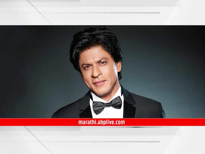 Shah Rukh Khan Hilarious Responses As Netizens Ask Question After Pathan box office collection Shah Rukh Khan : 'पठाण'ची कमाई पाहून कसं वाटतं? चाहत्याच्या प्रश्नावर उत्तर देत शाहरुख म्हणाला,