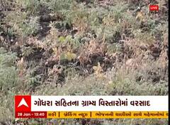 Panchmahal: ભરશિયાળે કમોસમી વરસાદ તૂટી પડતા આટલા પાકને થશે નુકસાન, જુઓ આ વીડિયોમાં