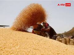 Wheat Price: ਸਰਕਾਰ ਨੇ ਚੁੱਕਿਆ ਅਹਿਮ ਕਦਮ ਜਿਸ ਨਾਲ ਘਟਣਗੇ ਕਣਕ ਦੇ ਭਾਅ, ਆਏ ਨਵੇਂ ਰੇਟ ਸਾਹਮਣੇ, ਮਿਲੇਗਾ ਸਸਤਾ ਆਟਾ