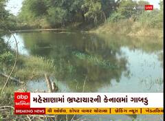 Mehsana: માઈનોર કેનાલમાં ગાબડું પડતા ખેતરો થઈ ગયા પાણી પાણી... જુઓ ખેતીના પાક થઈ ગયા બરબાદ