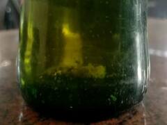 Coimbatore: டாஸ்மாக்கில் வாங்கிய பீர் பாட்டிலில் தூசி ; குடிமகன் அதிர்ச்சி