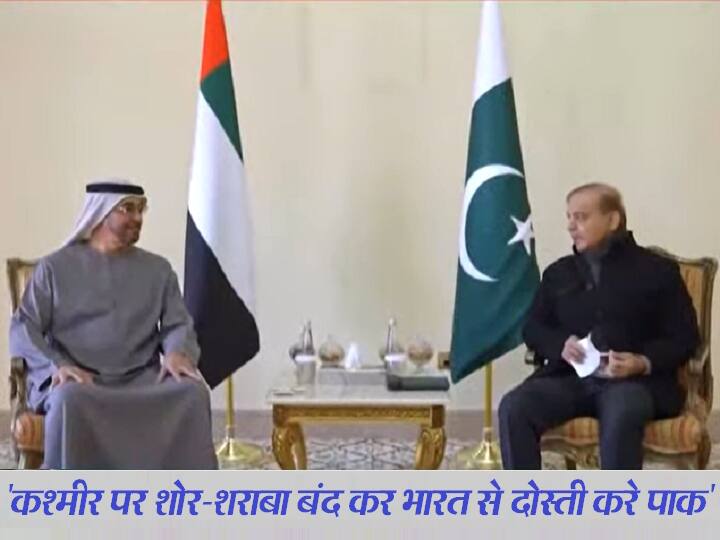 ‘Pakistan should make friendship with India by stopping making noise on Kashmir’, why did UAE and Saudi Arabia say this?