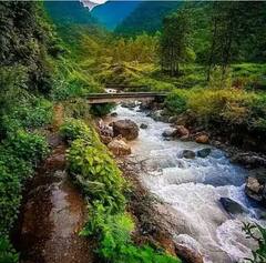 Valentines Day 2023: ਉੱਤਰਾਖੰਡ ਵਿੱਚ ਮਨਾਓ ਵੈਲੇਨਟਾਈਨ ਡੇ ਦਾ ਜਸ਼ਨ, ਦੇਖੋ ਇਹ ਖੂਬਸੂਰਤ ਜਗ੍ਹਾ