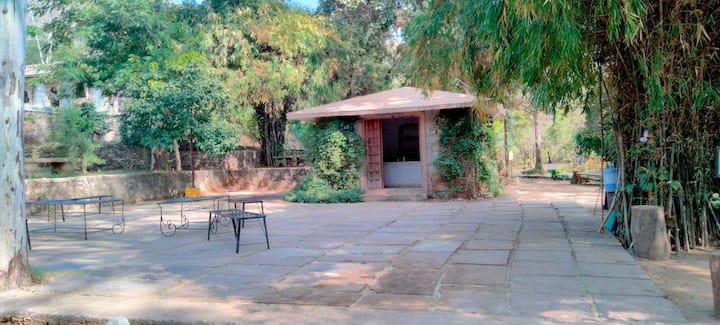 80 हेक्टेयर एरिया में फैले बायोडाइवर्सिटी पार्क का 2 हेक्टेयर एरिया तितलियों के लिए खास किया गया है. बायोडाइवर्सिटी पार्क में जीप लाइन, एयर पेडल, अन्य एडवेंच, घना जंगल और पैंथर भी हैं. पर्यटक तितलियों का संसार देखने के साथ एडवेंचर का मजा भी ले पाएंगे. नाथद्वार रोड पर हर साल लाखों की संख्या में श्रीनाथ प्रभु का दर्शन करने भक्तगण जाते हैं.