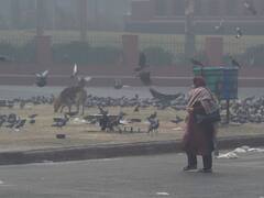 Delhi Weather Update: दिल्ली में रविवार को हो सकती है बारिश, सोमवार को भी आसमान में छाए रहेंगे बादल