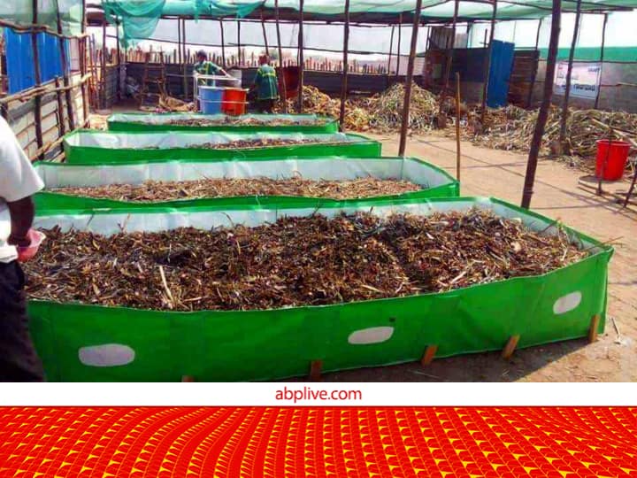 Organic Farming 40 percent Subsidy 50000 rupees for Varmi Compost Unit or organic Input Production वर्मी कंपोस्ट इकाई से अब होगी जबरदस्त कमाई, यहां तो 50,000 रुपये अनुदान भी मिल रहा है