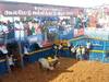 Jallikattu: சேலம் கூலமேடு ஜல்லிக்கட்டு... சீறிப்பாய்ந்த காளைகளை அடக்கிய மாடுபிடி வீரர்கள்..!