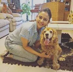 Rakul Preet Singh House: ਰਕੁਲ ਪ੍ਰੀਤ ਸਿੰਘ ਦਾ ਘਰ ਸੁਪਨਿਆਂ ਦੇ ਮਹਿਲ ਨਾਲੋਂ ਵੀ ਸੋਹਣਾ, ਵੇਖੋ ਅੰਦਰ ਦੀਆਂ ਤਸਵੀਰਾਂ