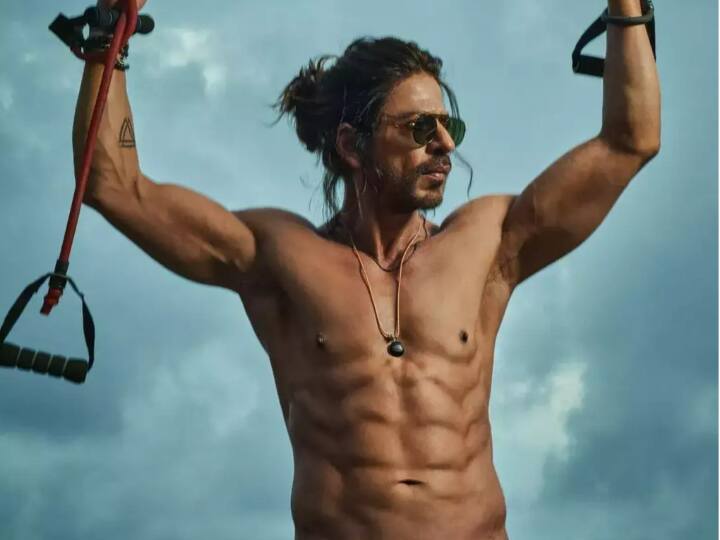 Ask SRK: क्या ‘जवान’ में दिखेंगे एब्स? फैन ने के सवाल पर Shah Rukh Khan का मजेदार जवाब जीत लेगा दिल Shah Rukh Khan Hilarious Responses As Netizens Ask Question After Pathaan Release Ask SRK: क्या ‘जवान’ में दिखेंगे एब्स? फैन ने के सवाल पर Shah Rukh Khan का मजेदार जवाब जीत लेगा दिल