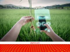 हर किसान के मोबाइल में होना ही चाहिए ये एप्लीकेशन, गन्ना का उत्पादन बढ़ाने में एक्सपर्ट है