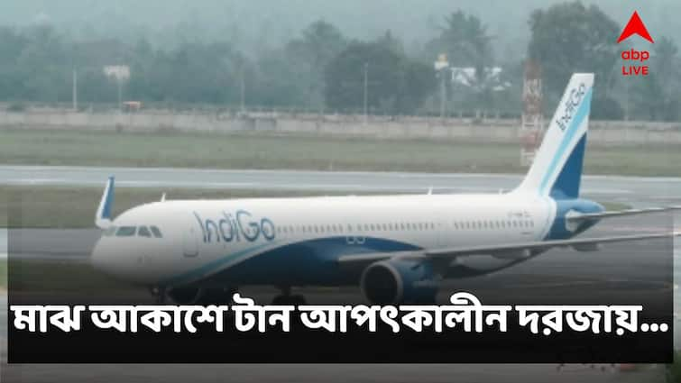 Passenger Of Indigo Flight Tried To Lift Emergency Door Mid Air Inviting Cases Against Him Viral News: মাঝ আকাশে বিমানের জরুরি দরজা ধরে টানাটানি, তোলপাড় 'ইন্ডিগো'-র যাত্রীর কাণ্ডকারখানায়