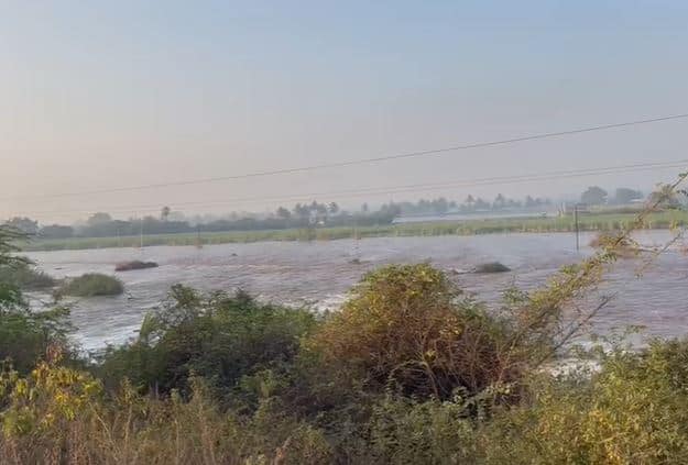 उजनी पाटबंधारे विभागाचा उजवा कालवा (Ujani Irrigation Department Right canal) फुटल्याची घटना घडली आहे.  यामुळं शेतात पाणी शिरले आहे.