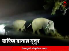 হাতির হামলায় প্রাণ গেল যুবকের, তীব্র ক্ষোভ এলাকায়