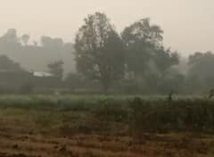 Gujarat Weather Update: ગુજરાતમાં સતત બીજા દિવસે અનેક વિસ્તારમાં કરા સાથે વરસાદ, ધરતીપુત્રોમાં ચિંતાનો માહોલ