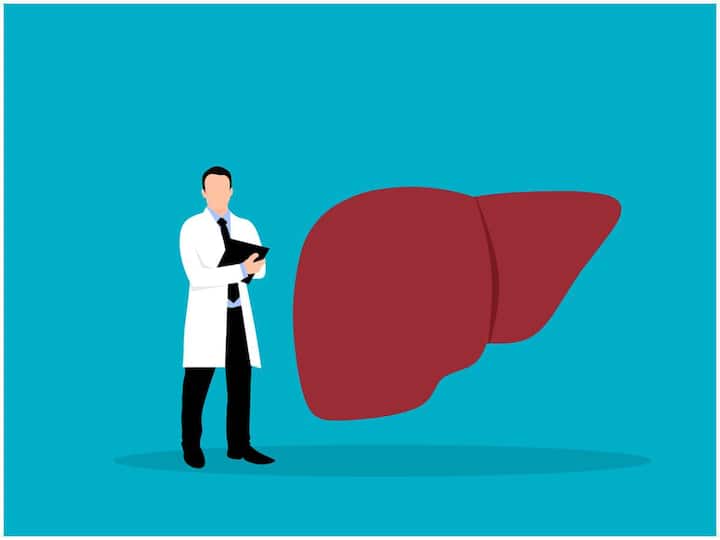 Is your liver healthy or have fatty liver disease? How to know Fatty liver Disease: కాలేయం ఆరోగ్యంగా ఉందా? లేక కొవ్వు పేరుకుపోయిందా? తెలుసుకోవడం ఎలా
