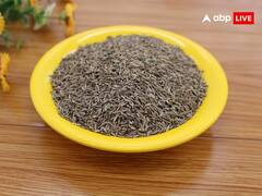 हाथ में नहीं टिकता पैसा? जीरा से जुड़े ये उपाय माने जाते हैं बेहद फायदेमंद