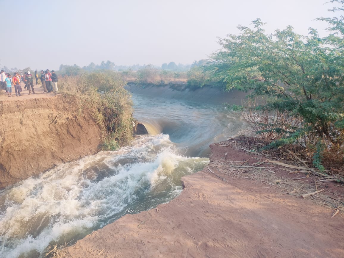 उजनी पाटबंधारे विभागाचा उजवा कालवा फुटला, शेकडो एकर शेती पाण्यात; ऊसासह द्राक्ष डाळिंबाचं मोठं नुकसान