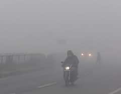 कांद्याचं पीक धोक्यात, बदलत्या हवामानाचा परिणाम होणार