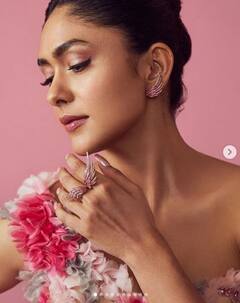 Mrunal Thakur: ਪਿੰਕ ਗਾਊਨ 'ਚ ਕਿਸੇ ਰਾਜਕੁਮਾਰੀ ਤੋਂ ਘੱਟ ਨਹੀਂ ਲੱਗ ਰਹੀ ਹੈ ਮ੍ਰਿਣਾਲ ਠਾਕੁਰ, ਵੇਖੋ ਤਸਵੀਰਾਂ