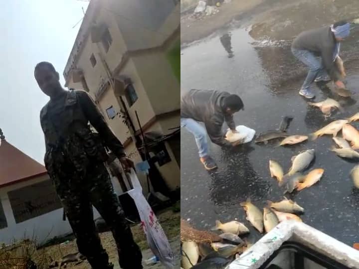 Giridih Jharkhand Policemen loot fish after vehicle overturns video shared on social media ANN Jharkhand News: कुछ घंटों में ही आठ क्विंटल मछली चट कर गयी पुलिस, थानेदार के गले में जा फंसा कांटा