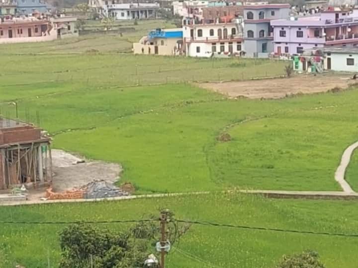Bageshwar drought Situation due to no rain 80 percent agriculture destruction Uttarakhand ANN Bageshwar News: बागेश्वर में बारिश नहीं होने से सूखे जैसे हालात, 80 फीसदी खेती बर्बादी की कगार पर