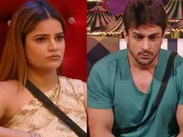 Bigg Boss 16: Shalin Bhanot Apologises To MC Stan's Mother For Abusing Her  Son