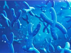 People With Additional X Or Y Chromosome Have Increased Risk Of Developing Dangerous Blood Clots Which Can Be Fatal: Study