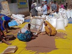 15 फरवरी तक होगी कोदो-कुटकी और रागी की खरीदी, अधिकारियों ने कही ये बात