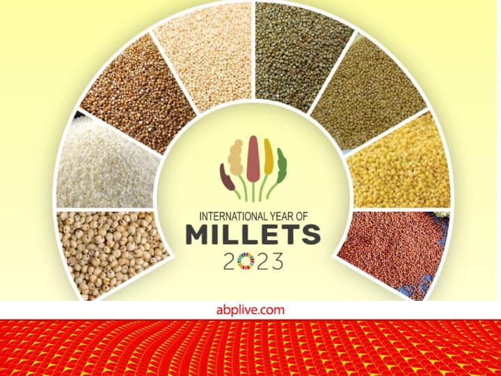 UP Millet Program: यूपी में मिलेट उत्पादन, प्रसंस्करण, उपभोग बढ़ाने के लिए नए कार्यक्रम को मिली मंजूरी, किसानों को होगा फायदा UP govt approves Uttar Pradesh Millets Revival Program to promote Millets cultivation, processing and consumption UP Millet Program: यूपी में मिलेट उत्पादन, प्रसंस्करण, उपभोग बढ़ाने के लिए नए कार्यक्रम को मिली मंजूरी, किसानों को होगा फायदा