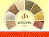 UP Millet Program: यूपी में मिलेट उत्पादन, प्रसंस्करण, उपभोग बढ़ाने के लिए नए कार्यक्रम को मिली मंजूरी, किसानों को होगा फायदा