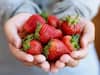 Strawberry Benefits: સ્ટ્રોબેરી સ્વાસ્થ્યવર્ધી ગુણોનો છે ભંડાર, સેવન કરવાથી શરીરની આ સમસ્યા થાય છે દૂર, જાણો તેના ગજબ ફાયદા