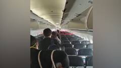 'টেক অফের' আগে বিমানে পাখির ধাক্কা, অল্পের জন্য দুর্ঘটনা থেকে রক্ষা পেল কলকাতাগামী বিমান