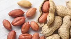 ਕਿਤੇ ਤੁਸੀਂ ਵੀ ਇਨ੍ਹਾਂ ਚੀਜ਼ਾਂ ਦੇ ਨਾਲ ਪਾਣੀ ਦਾ ਸੇਵਨ ਤਾਂ ਨਹੀਂ ਕਰ ਰਹੇ... ਬੰਦ ਕਰ ਦਿਓ, ਨਹੀਂ ਤਾਂ ਹੋ ਸਕਦੇ ਹੋ ਬਿਮਾਰ