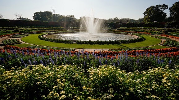 See in Pics : Rashtrapati Bhavan‍‍`s Mughal Gardens Renamed ‍‍`Amrit Udyan‍‍`, A  Horticultural Paradise | Rashtrapati Bhavan Amrit Udyan : স্বর্গদ্যান ‍‍`অমৃত  উদ্যান‍‍`, সেজে উঠল রাষ্ট্রপতি ভবনের ঐতিহ্যবাহী ...