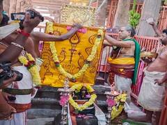 பழனியில் வரும் பிப்ரவரி 4ஆம் தேதி தைப்பூசத்தேரோட்டம்