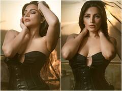 शमा सिकंदर के तीखे तेवर पर आया फैंस का दिल, तस्वीर शेयर कर एक्ट्रेस ने मचाई सनसनी | PICS