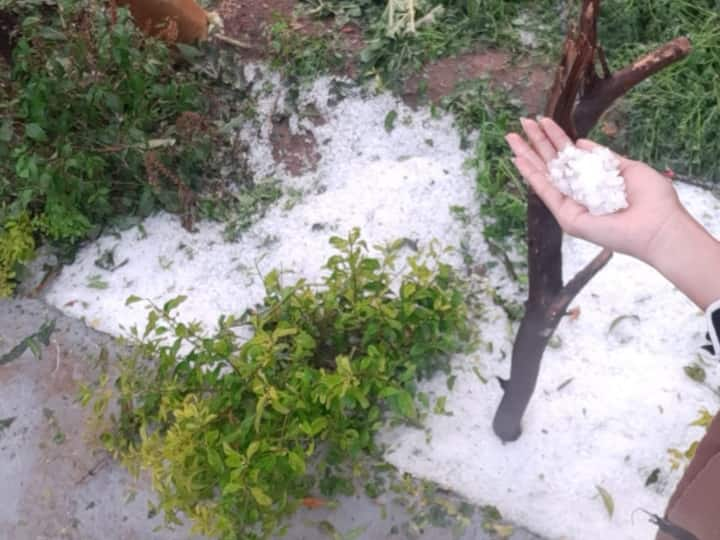 Hailstrom in Udaipur: उदयपुर में शनिवार शाम शुरू हुई बारिश, रविवार सुबह तक रुक रुक कर होती रही. कई जगह ओले भी पड़े. इससे वहां की सड़के सफेद हो गईं. वहीं कई कॉलोनियों में बारिश का पानी जमा हो गया.