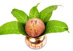 ਮਾਘ ਪੂਰਨੀਮਾ 'ਤੇ ਇਕਾਕਸ਼ੀ ਨਾਰੀਅਲ ਦਾ ਇਹ ਉਪਾਅ ਖੋਲ੍ਹੇਗਾ ਕਿਸਮਤ ਦਾ ਤਾਲਾ, ਹੋਵੇਗਾ ਧਨ ਲਾਭ