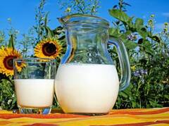 ਮੋਟਾਪੇ ਤੋਂ ਹੋ ਪਰੇਸ਼ਾਨ, ਤਾਂ ਪੀਓ ਇਹ ਦੁੱਧ, ਹੋਵੇਗਾ ਫਾਇਦਾ