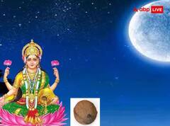 ਮਾਘ ਪੂਰਨੀਮਾ 'ਤੇ ਇਕਾਕਸ਼ੀ ਨਾਰੀਅਲ ਦਾ ਇਹ ਉਪਾਅ ਖੋਲ੍ਹੇਗਾ ਕਿਸਮਤ ਦਾ ਤਾਲਾ, ਹੋਵੇਗਾ ਧਨ ਲਾਭ