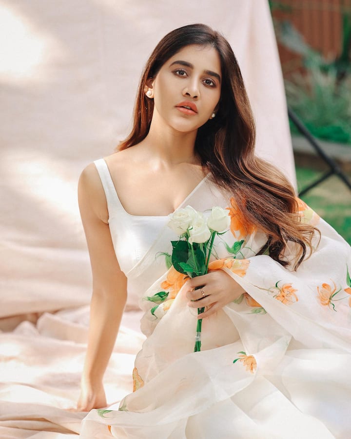 కర్ణాటకలో పుట్టి పెరిగిన నభా నటేష్ ‘నన్ను దోచుకుందువటే’ సినిమాతో తెలుగులోకి ఎంట్రీ ఇచ్చింది.Photo Credit: Nabha Natesh /Instagram