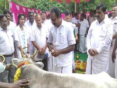 ஈரோடு இடைத்தேர்தலில் திமுக கூட்டணி மாபெரும் வெற்றி பெறும் - அமைச்சர் மெய்யநாதன்