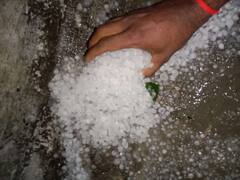 कोटा में गरजे बादल, बारिश के साथ पड़े ओले; फसलों को हुआ नुकसान