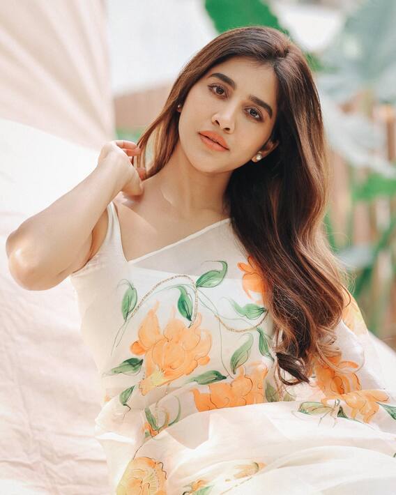 Nabha Natesh: తెల్ల చీరలో అబ్బా అనిపిస్తున్న నభా నటేష్